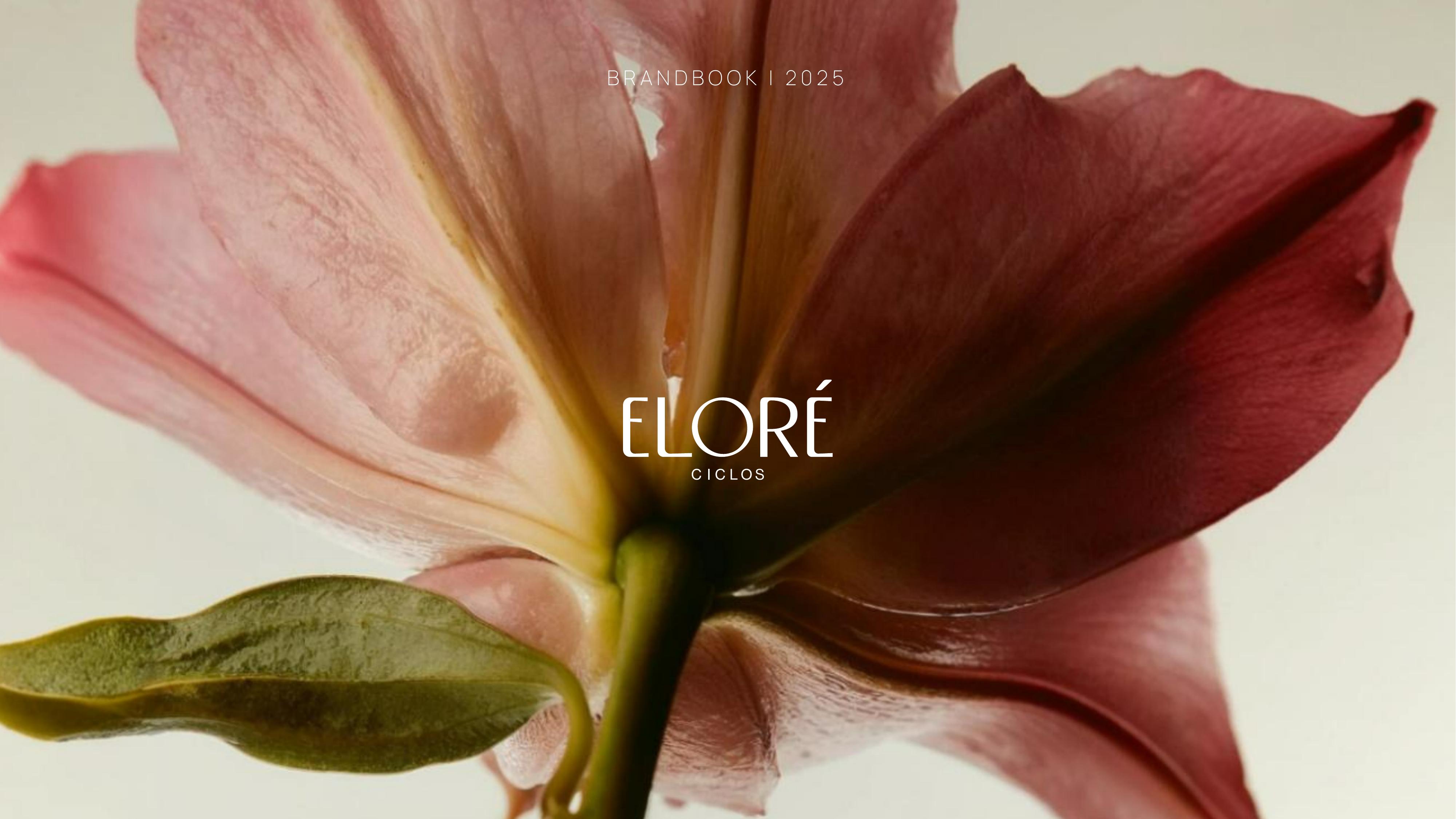 Eloré Ciclos